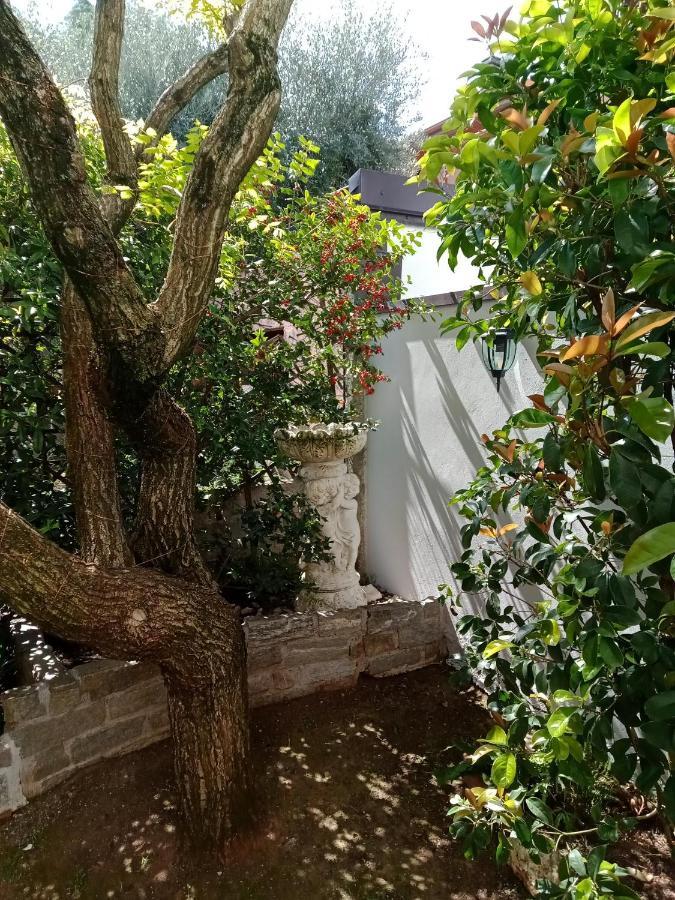 B&B Il Cantuccio Desenzano del Garda Dış mekan fotoğraf